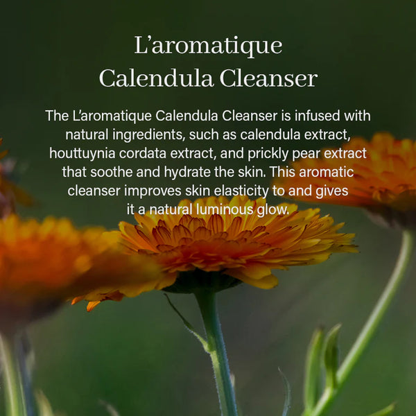 Calendula Rice Mochi Cleanser - Zklidňující čisticí pěnový krém 120g
