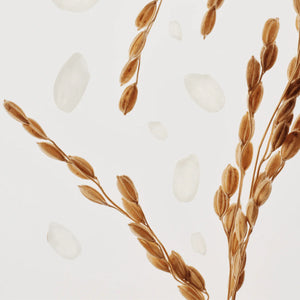Relief Sun: Rice + Probiotics SPF50+/PA++++ - Lehký krém na obličej s vysokou ochranou proti UV záření 50ml
