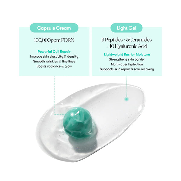 VT Cosmetics - PDRN Cream 100 - Gelový krém s hydratačními a regeneračními účinky 50 ml