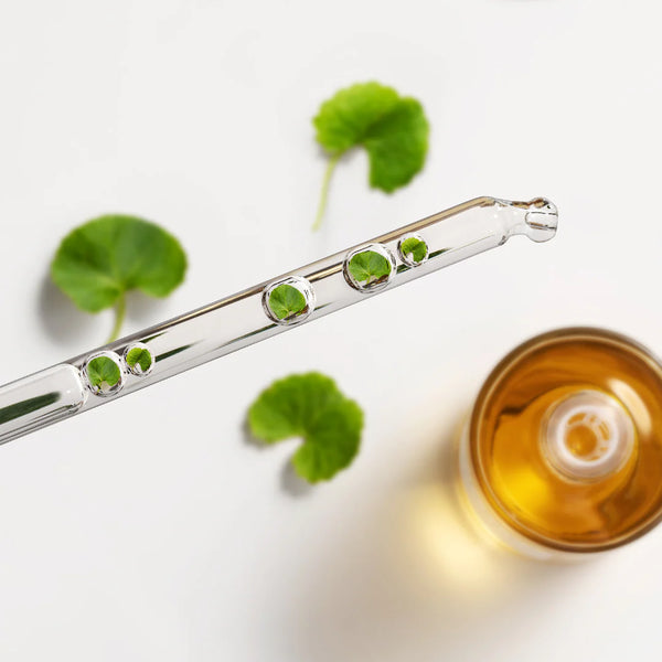 Madagascar Centella Asiatica Ampoule - Zklidňující ampule s pupečníkem asijským 100ml