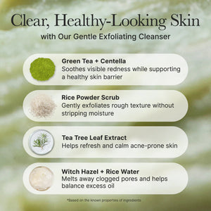 Fresh Green Rice Mochi Cleanser - Čisticí pěnový krém 120g