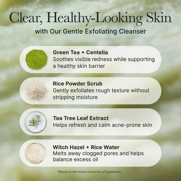 Fresh Green Rice Mochi Cleanser - Čisticí pěnový krém 120g