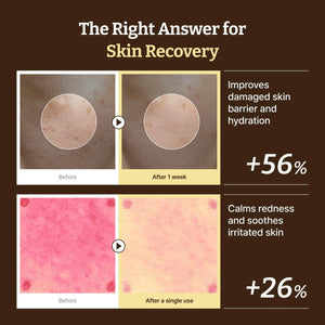 Dr. Reju-All - Advanced PDRN Rejuvenating Cream - Regenerační pleťový krém s PDRN