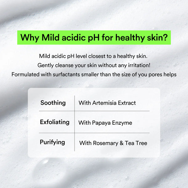 Abib - Mild foam cleanser Heartleaf foam - Jemná čisticí pěna pro problematickou pleť 150 ml