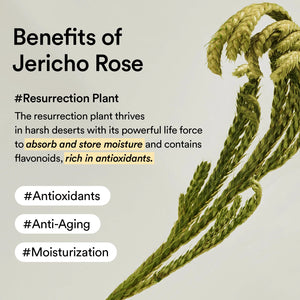 Collagen Eye Patch Jericho Rose Jelly - Hydrogelové náplasti pod oči s kolagenem a růží z Jericha 60ks/90ml