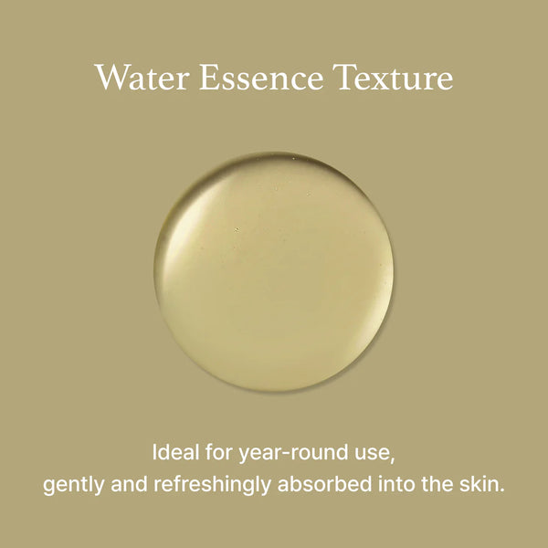 Mugwort Essence - Zklidňující pleťová esence s pelyňkem pro citlivou a podrážděnou pleť 160ml