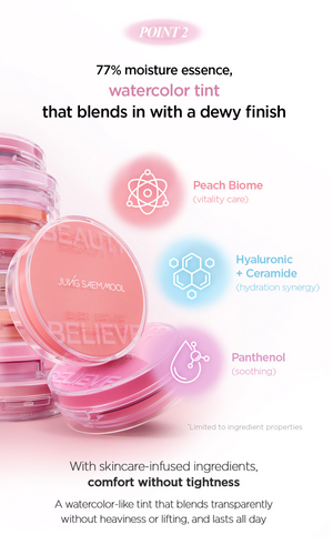 Artist Cushion Blush