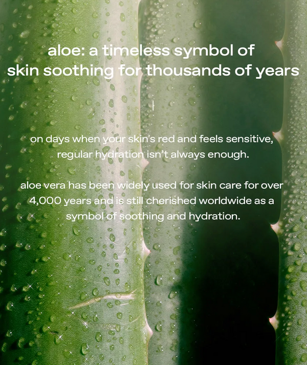 Aloe Hydrogel Sheet Mask - Hydratační a zklidňující hydrogelová maska