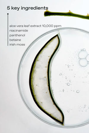 Aloe Hydrogel Sheet Mask - Hydratační a zklidňující hydrogelová maska