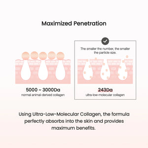 Pore Tightening Collagen Ampoule - Zpevňující ampule pro redukci pórů 50ml