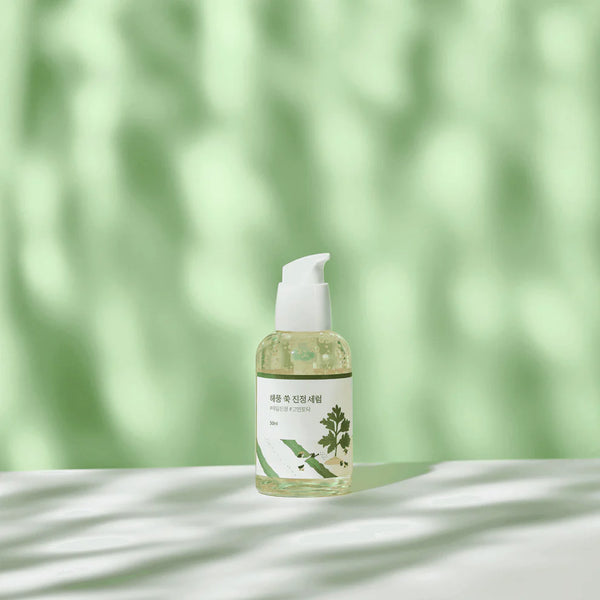 ROUND LAB - Mugwort Calming Serum - Zklidňující a hydratační sérum s pelyňkem 50ml