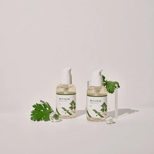 ROUND LAB - Mugwort Calming Serum - Zklidňující a hydratační sérum s pelyňkem 50ml