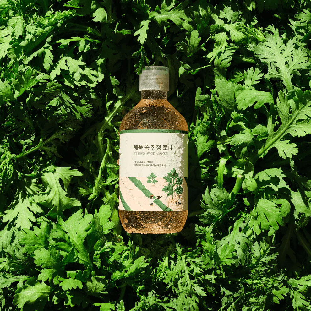 ROUND LAB - Mugwort Calming Toner - Zklidňující a hydratační pleťové tonikum s pelyňkem 300ml