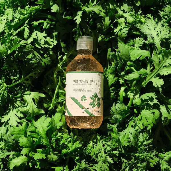 ROUND LAB - Mugwort Calming Toner - Zklidňující a hydratační pleťové tonikum s pelyňkem 300ml