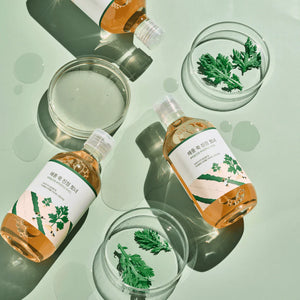 ROUND LAB - Mugwort Calming Toner - Zklidňující a hydratační pleťové tonikum s pelyňkem 300ml